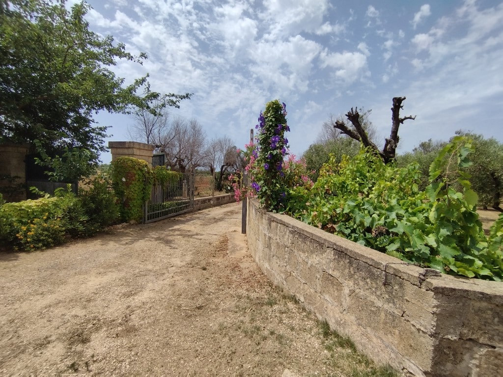 Giano Group Immobiliare